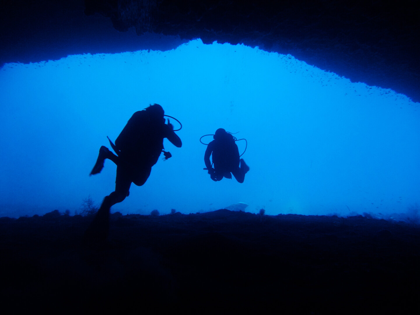 gallery image Desroches Underwater