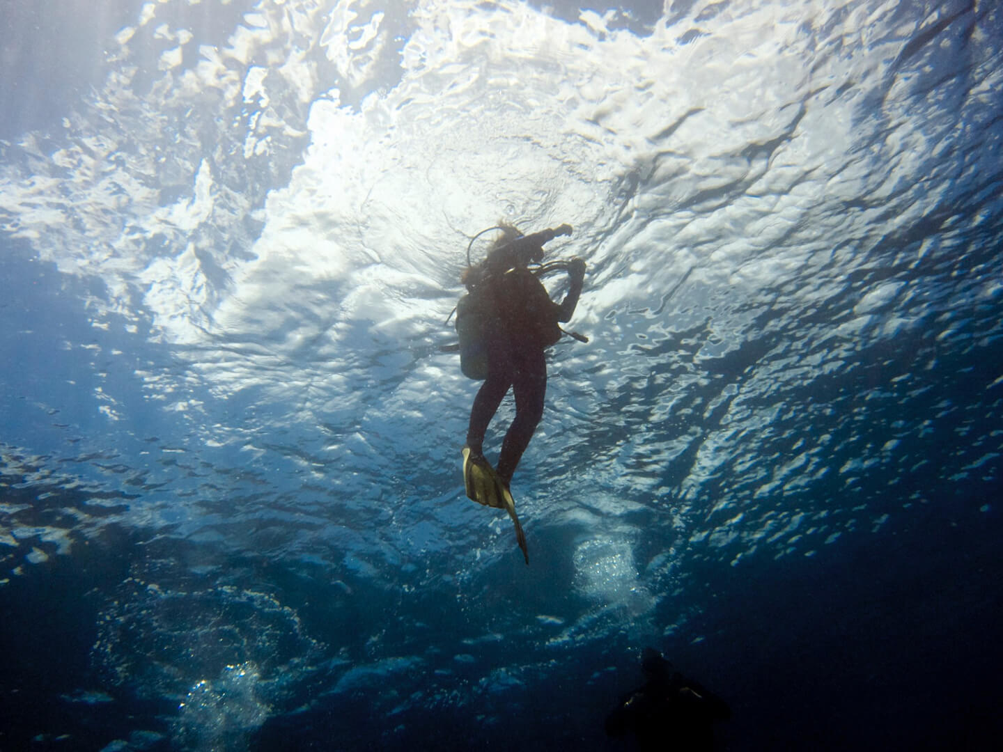 gallery image Desroches Underwater