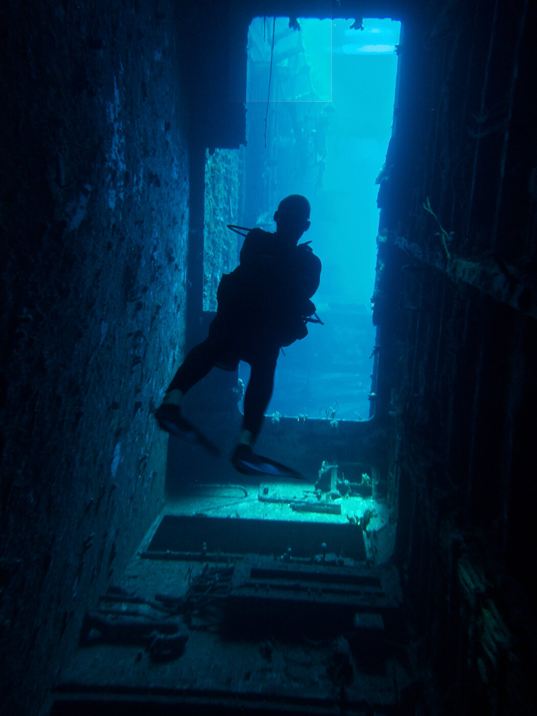 gallery image Statia Underwater
